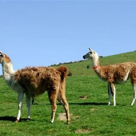 Charmant T2 Pour 4, Parking Couvert, Piscine Et Salle De Fitness - La Mongie - Fr-1-404-317 Lejlighed Bagnères-de-Bigorre