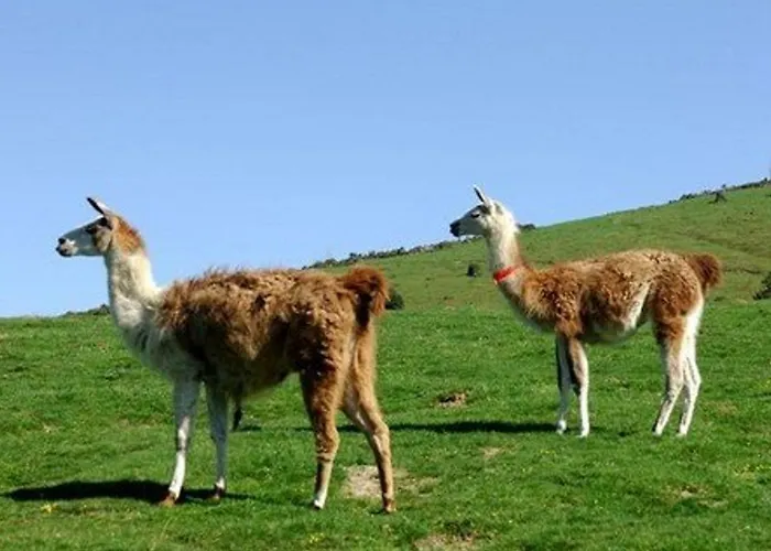 Charmant T2 Pour 4, Parking Couvert, Piscine Et Salle De Fitness - La Mongie - Fr-1-404-317 Apartamento Bagnères-de-Bigorre